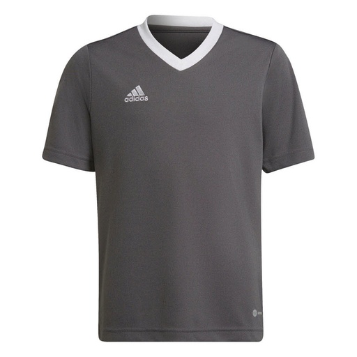 adidas Entrada 22 Trikot grau Kinder