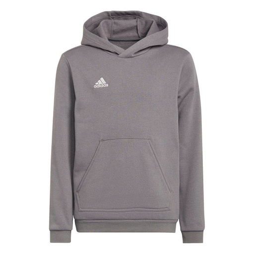 adidas Entrada 22 Kapuzenpullover grau Kinder