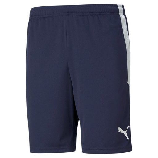 Puma teamLIGA Shorts dunkelblau