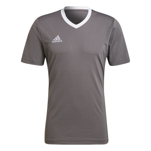 adidas Entrada 22 Trikot grau  