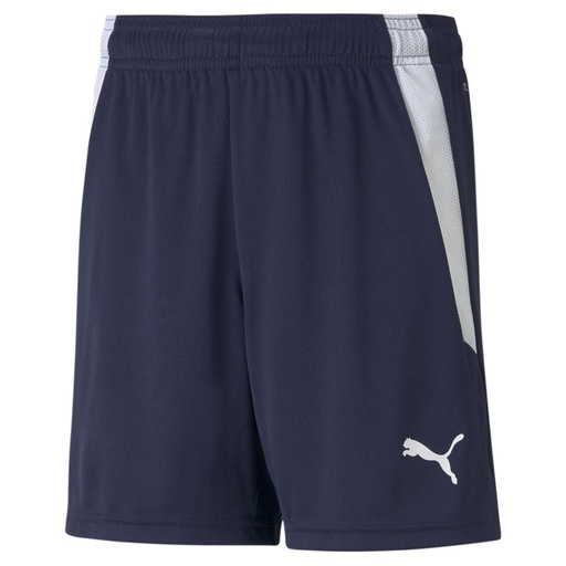 Puma teamLIGA Shorts dunkelblau Kinder