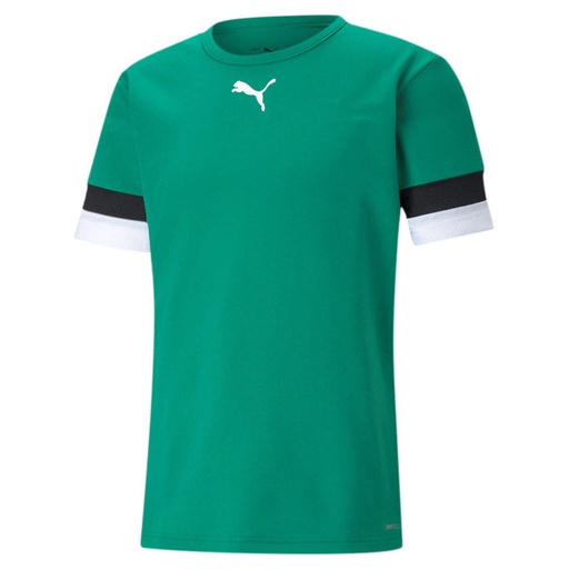 Puma teamRISE Trikot grün 