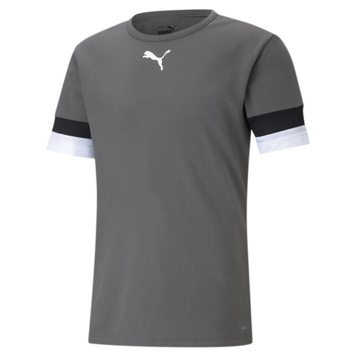 Puma teamRISE Trikot grau 