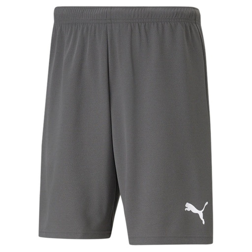 Puma teamRise Shorts grau 